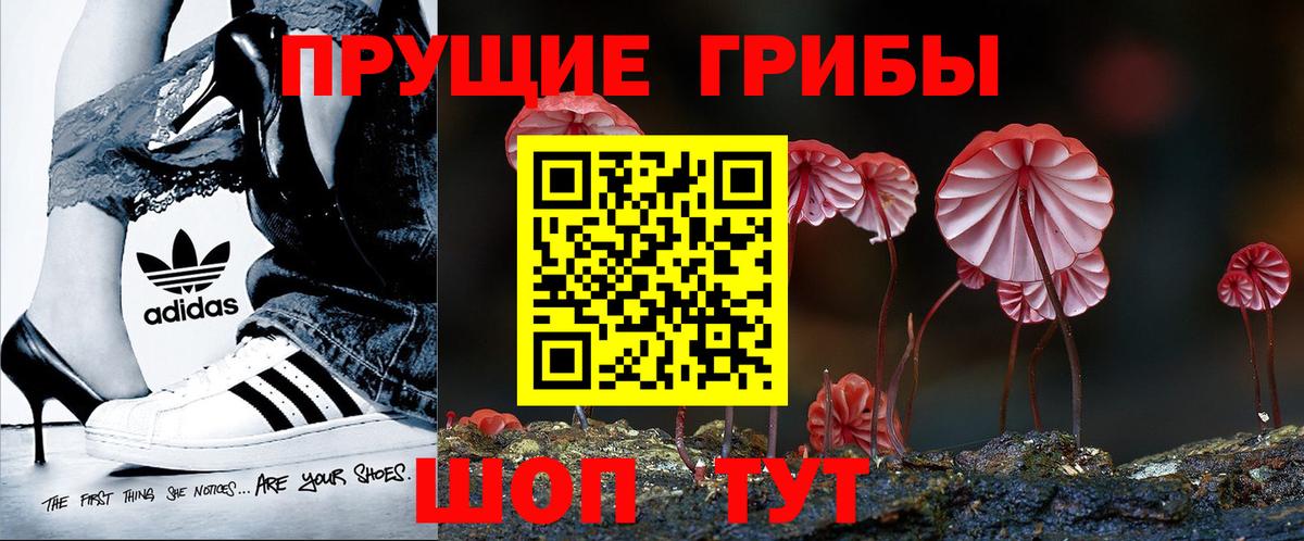 Галлюциногенные грибы Psilocybe  как найти закладки  Псилоцибиновые грибы мухоморы  Апатиты  Вход с VPN 